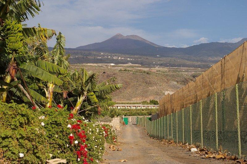 Hotel Rural El Navio - Adults Only Alcala  Exterior photo